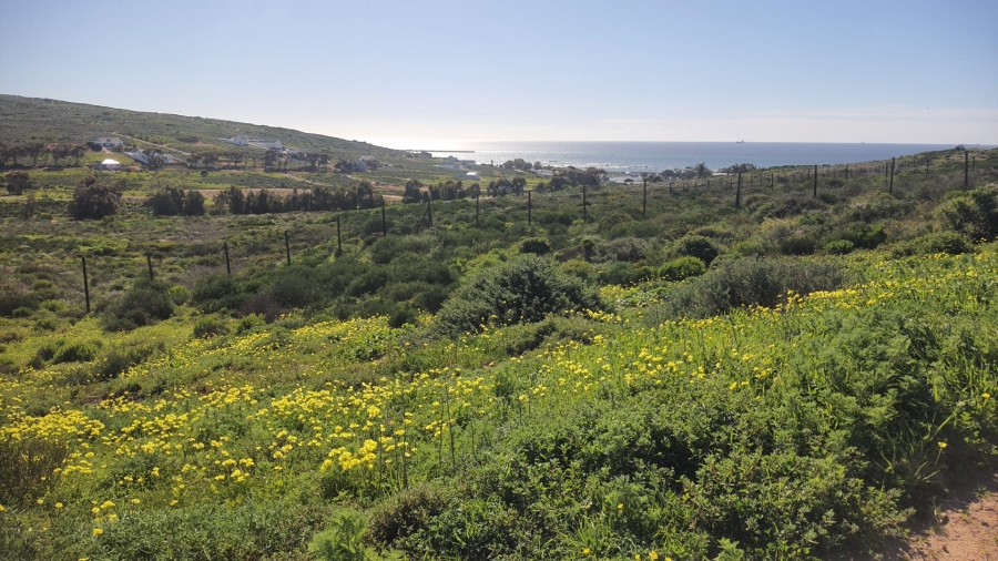  Bedroom Property for Sale in St Helena Views Western Cape